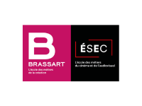 ESEC CINEMA & BRASSART ART 3D GAME